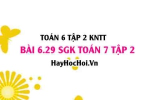 Bài 6.29 SGK Toán 7 tập 2 Kết nối tri thức